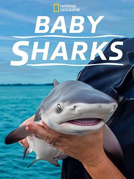 宝宝看的鲨鱼的动画片全集