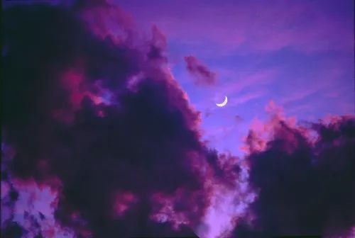 紫夜