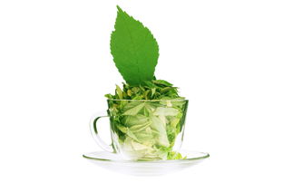 绿茶婊的特征