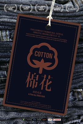 中国棉花网