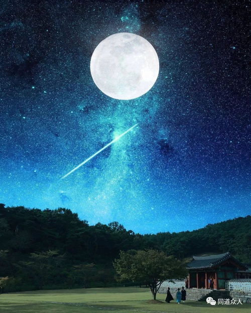 韩剧云画的月光预告