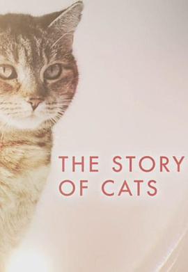 凯特猫的故事动画片