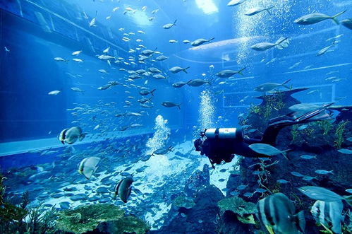 深海水族馆无限生命