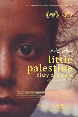 巴勒斯坦小说