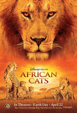 非洲大猫纪录片国语