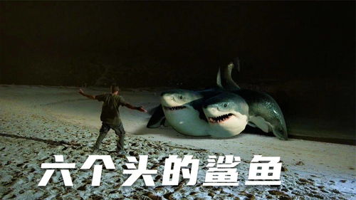 夺命3头鲨电影国语