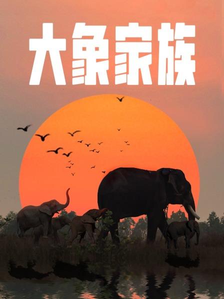 大象家族动画片