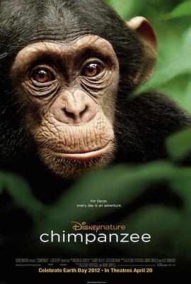 猩猩的故事全集免费观看