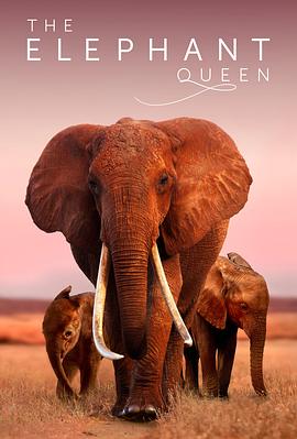 女王的大象免费观看