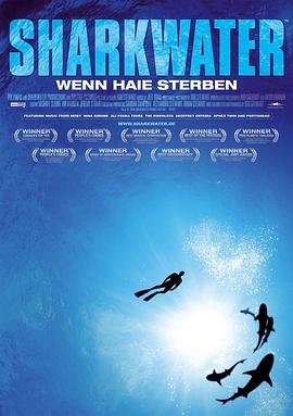 海洋大鲨鱼电影免费观看